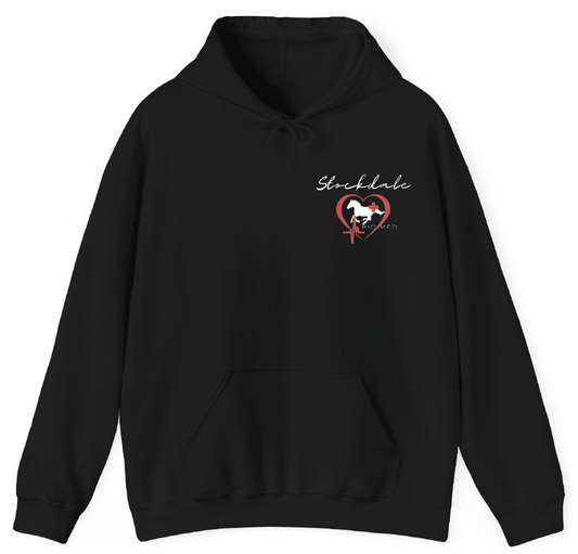 PLTW Pullover Hoodie - Small Logo Front